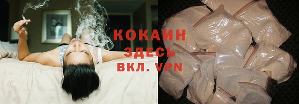 стафф Богданович